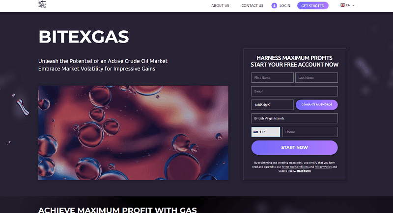 BitexGas Homepage Screenshot